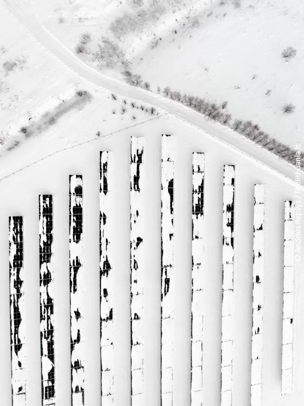 Vertical of the House